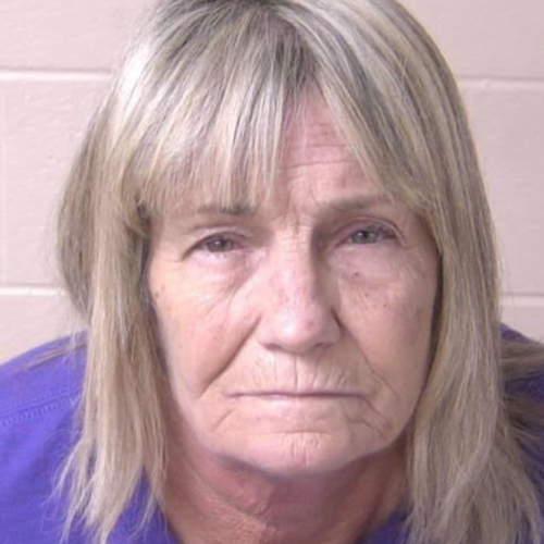 Rock Spring woman arrested for DUI drugs after 911 calls from concerned citizens in Walker County